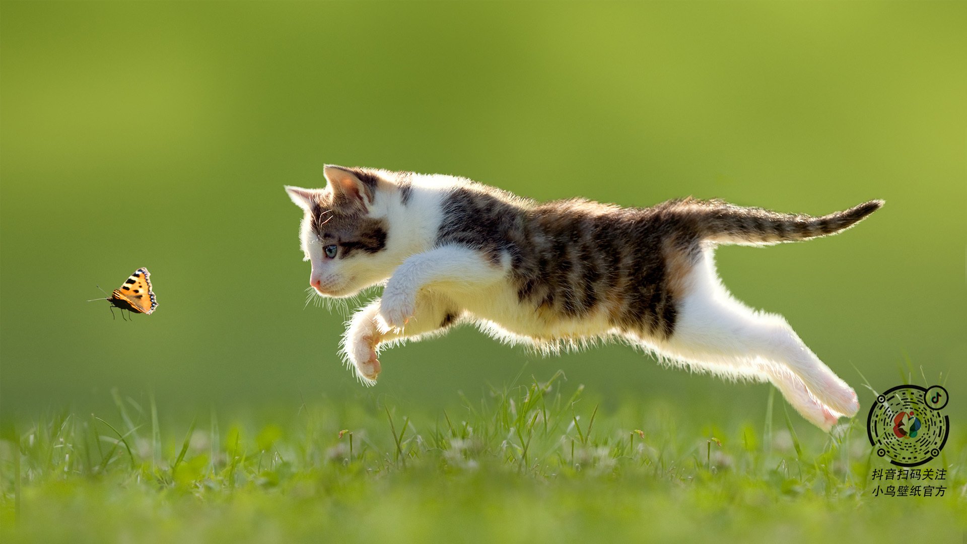 AYX官网-_湖人奋力突破，季后赛目标稳步逼近_，湖人队季后赛