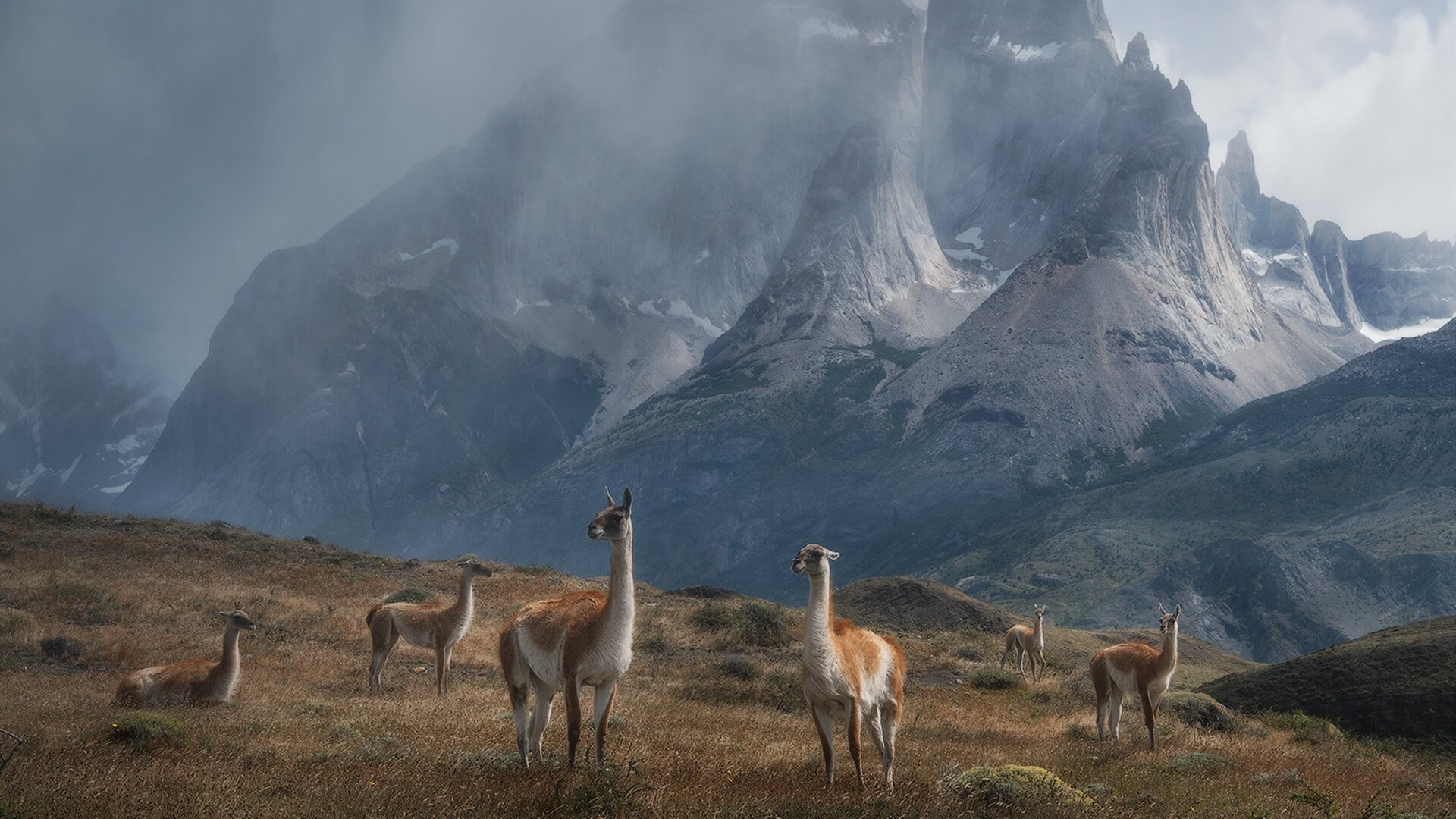 “法甲高水平对抗:场面激烈,惊喜不断”,法甲实力分析