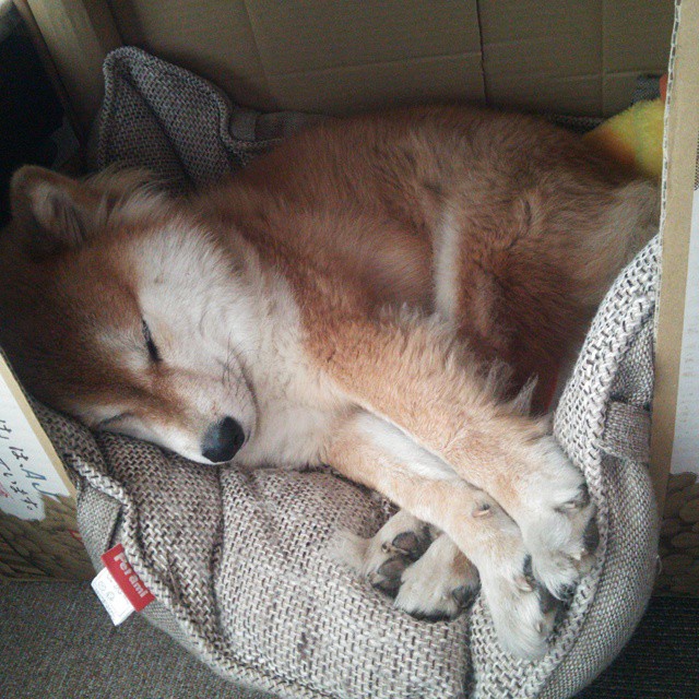 爱游戏娱乐平台-区块链技术应用：打造安全可信的联盟交易和合同体系，《区块链》