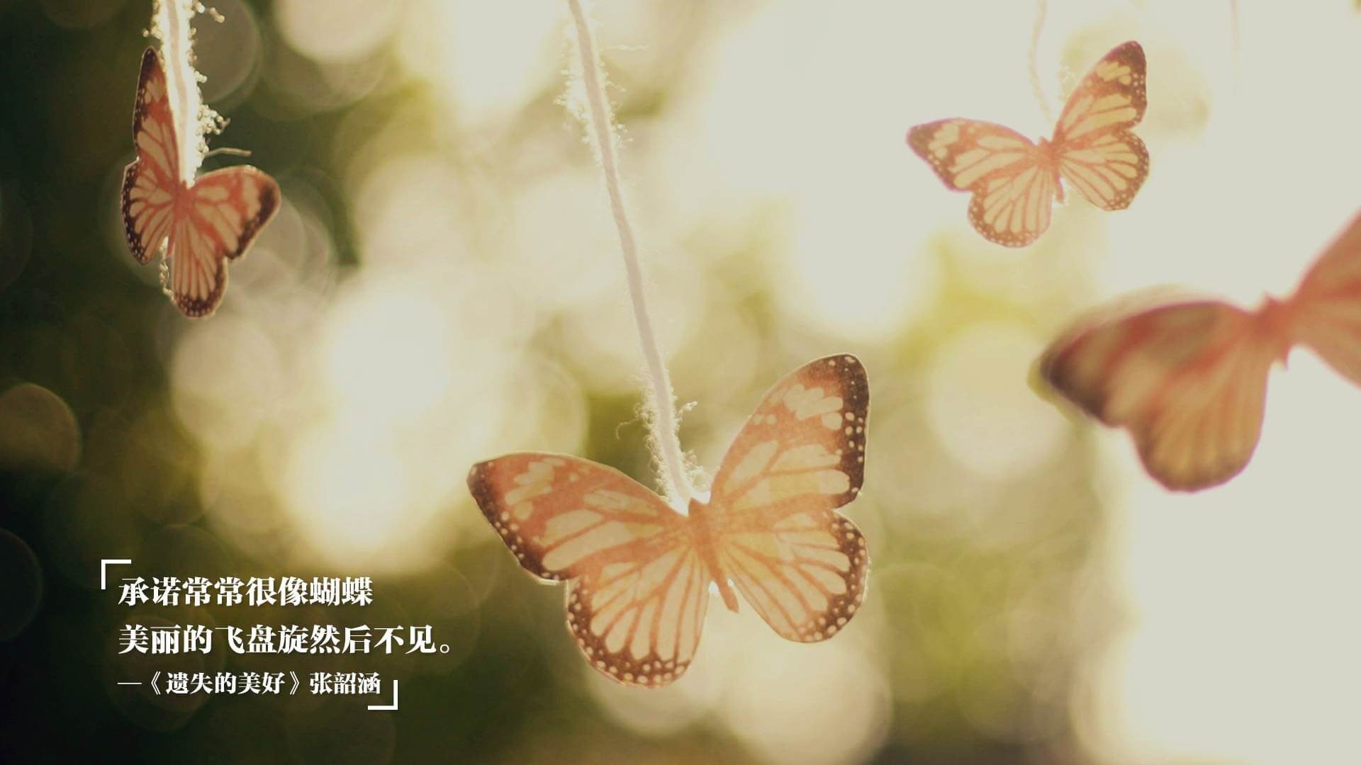 爱游戏体育（AYX）官方APP下载-场馆升级：打造国际一流比赛环境，竞赛场馆运行分区有哪些