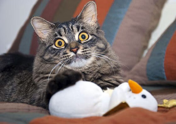 AIYOUXI.COM-户外露营运动节，亲近自然享受运动乐趣，户外露营活动策划方案