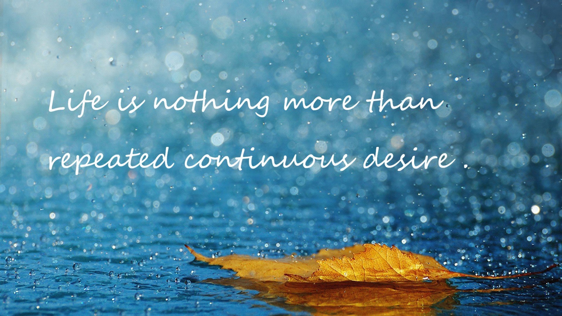 AYX SPORTS-未来“足球天王”在欧冠舞台的首次大放异彩，欧足联50大未来之星