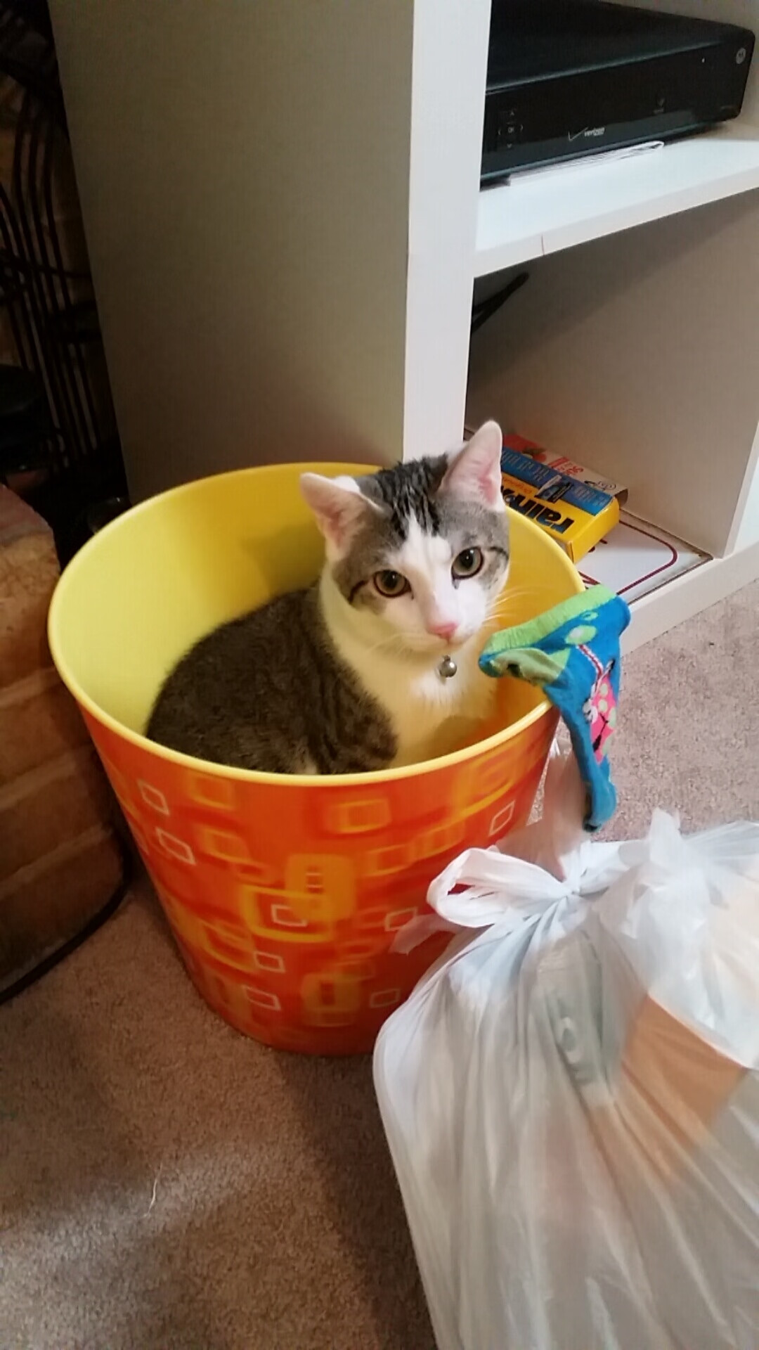 体育赛事吸引眼球,观众尽情欢乐,体育赛事slogan