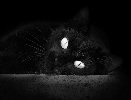 爱游戏体育官方网站-公牛团队失误不断主场输球，公牛队进场