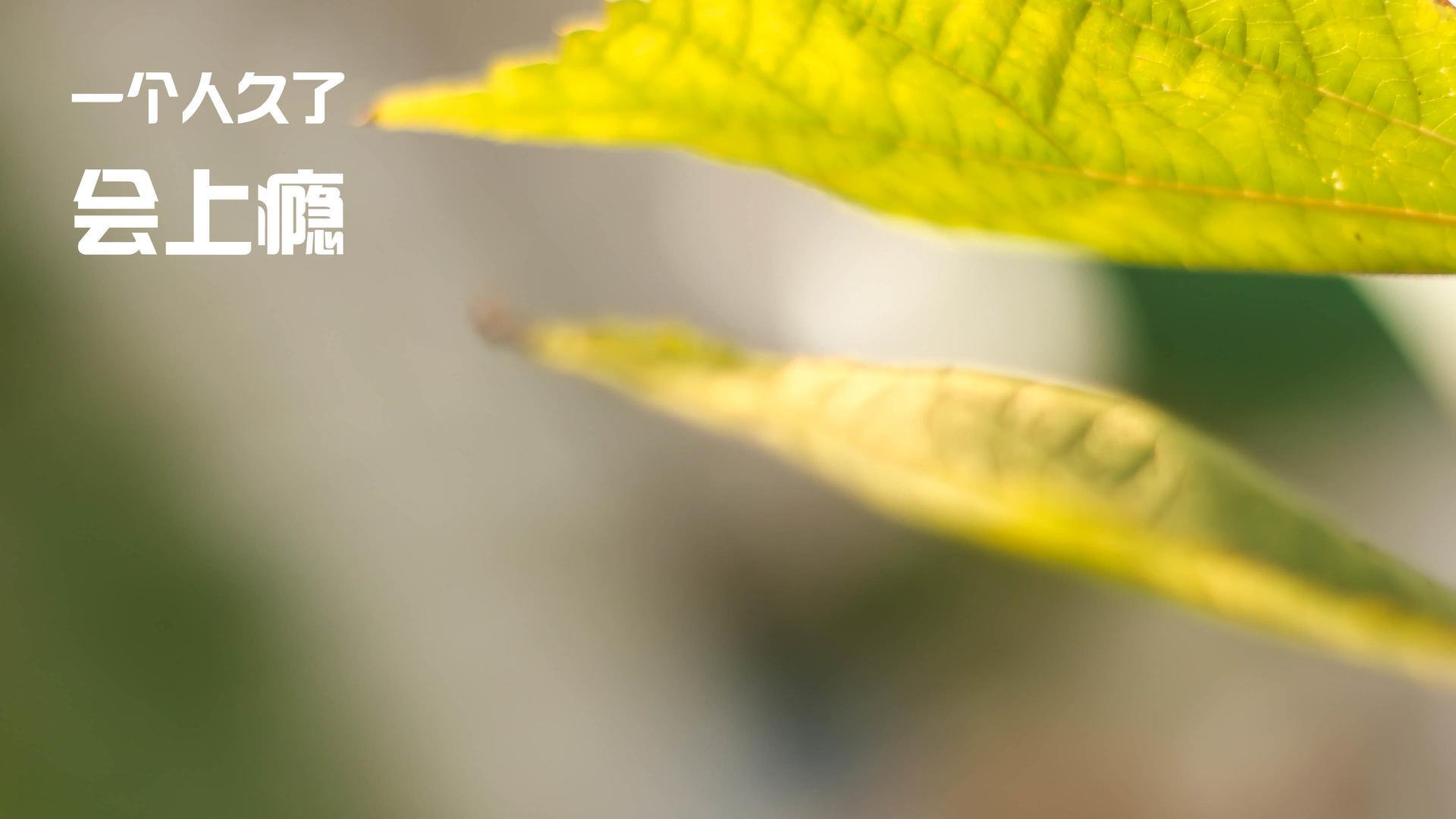 爱游戏官方网站-国安备战关键战役，全队士气高昂冲击前列