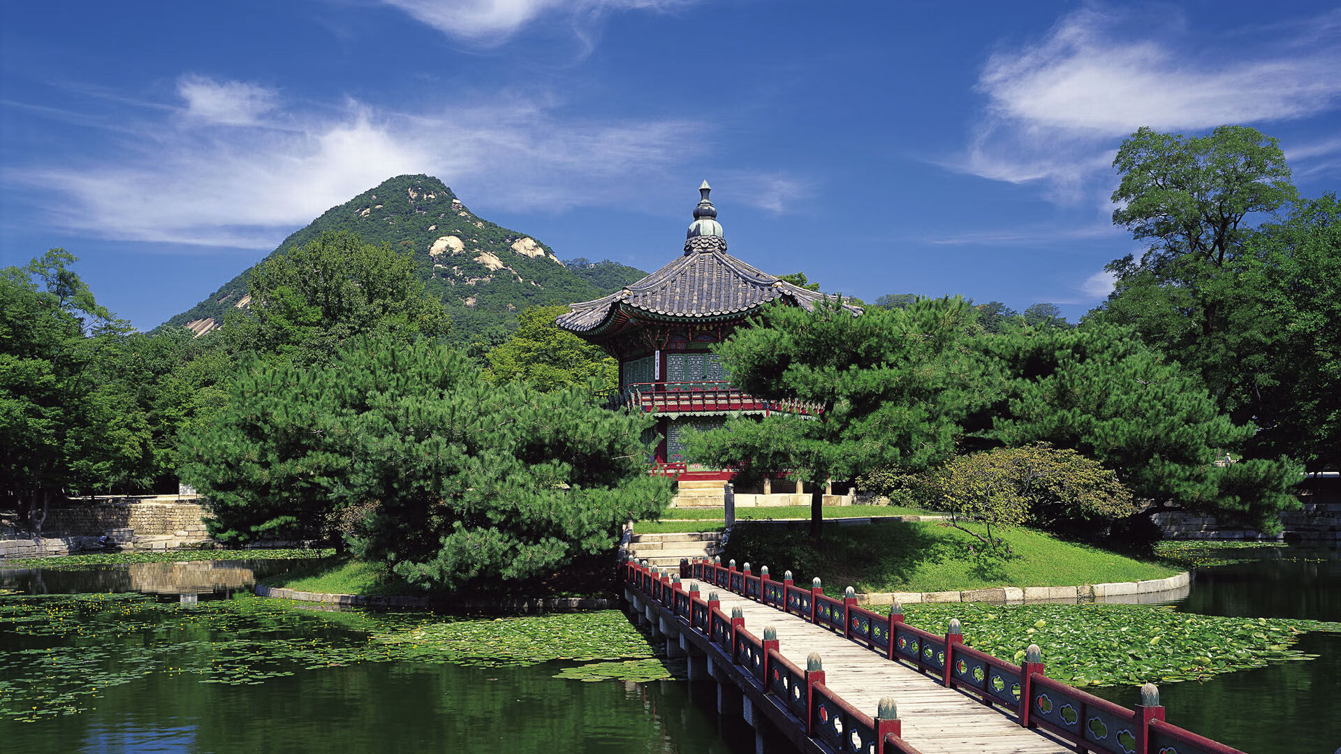 职业篮球赛事观众互动提升，篮球观众席技术犯规怎么办