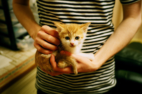 职业篮球赛事商业化运作模式，职业篮球赛事商业化运作模式包括