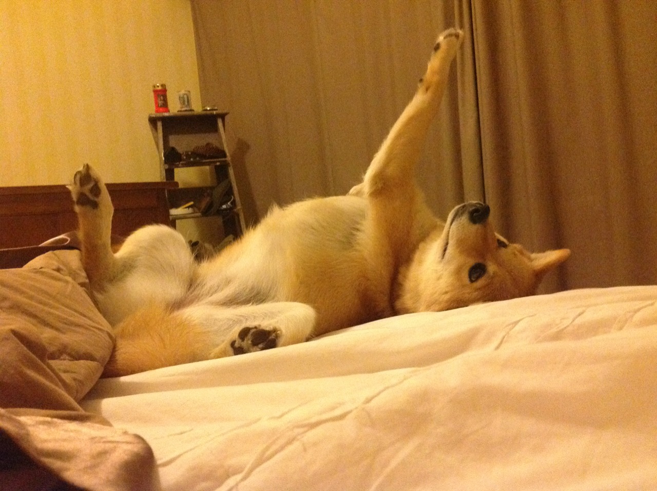 中超联赛年度长传转化成功率排名，20121年中超转播机构