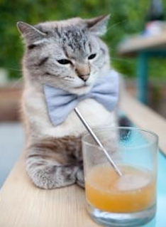 体育赛事市场发展趋势分析,体育赛事市场发展趋势分析报告