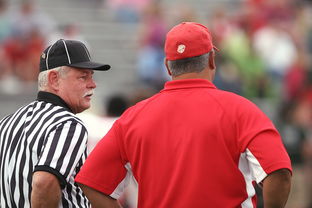 爱游戏娱乐-意甲裁判语义分析辅助判罚准确性的应用探讨，意甲裁判名单