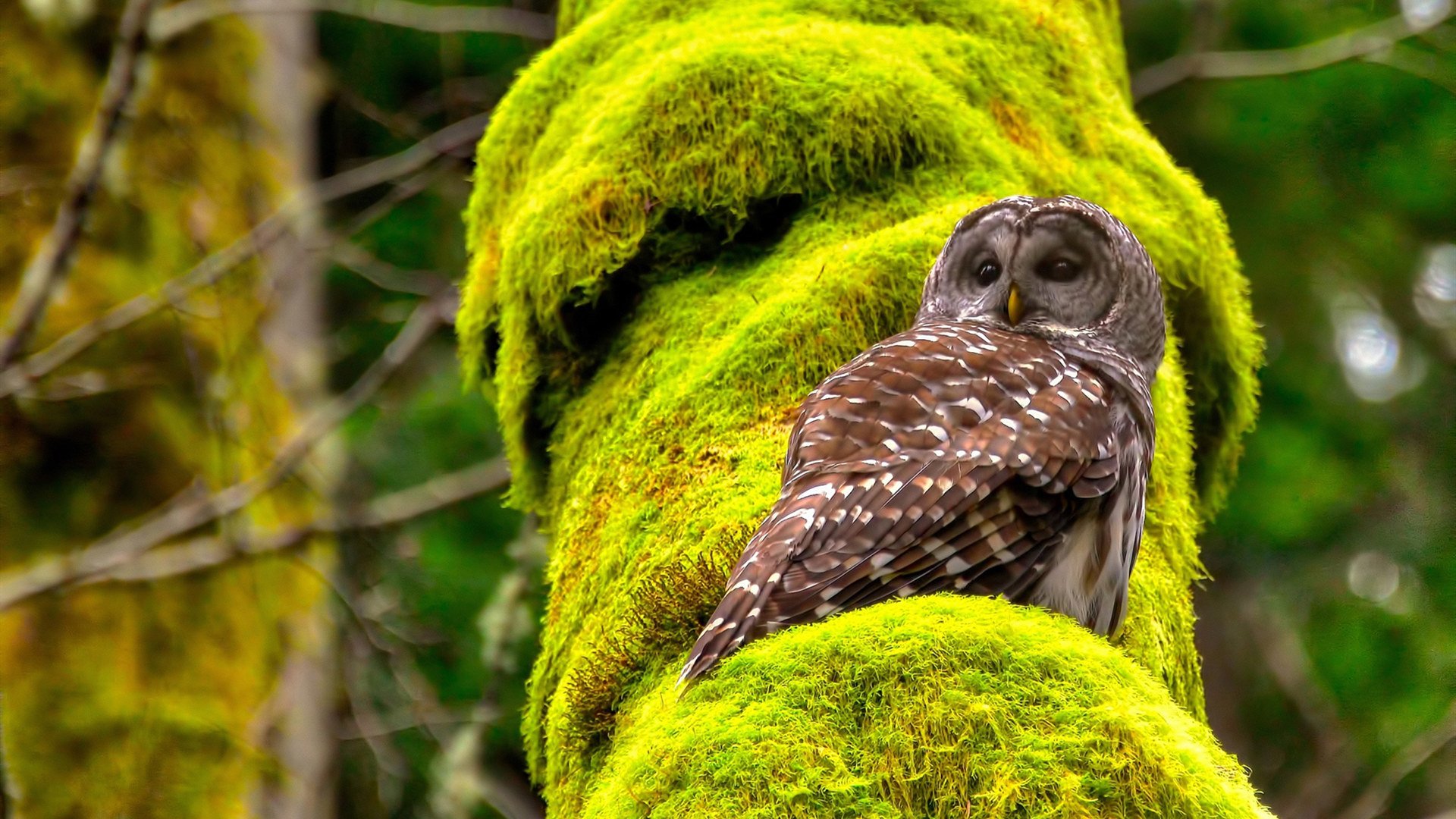 AYX官网-体育新闻中心协办青少年运动科普内容创作营，青少年体育科技创新大赛