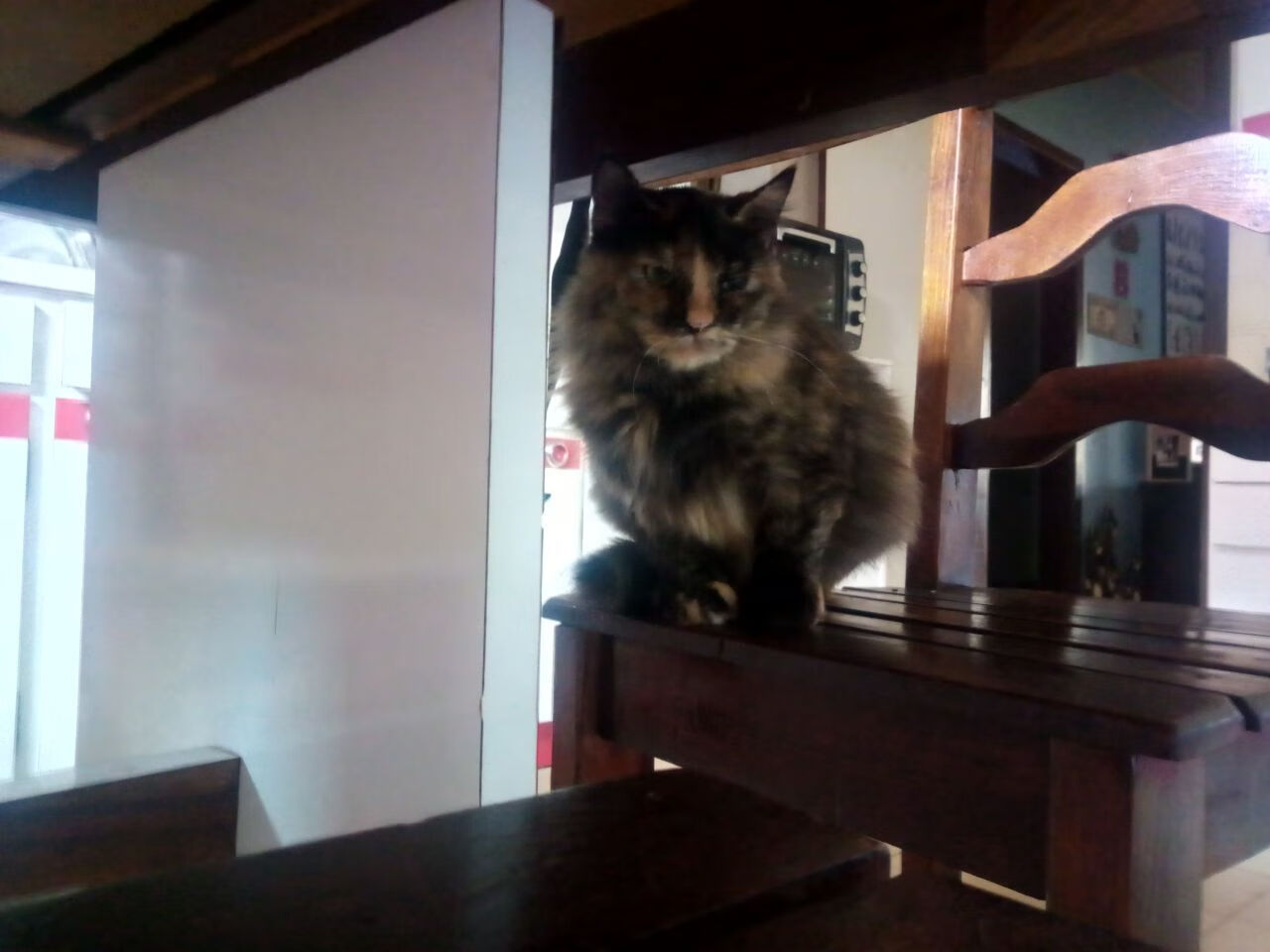 核心球员缺席后球队是否优先调整中场站位而非锋线结构,核心球员角色球员区别