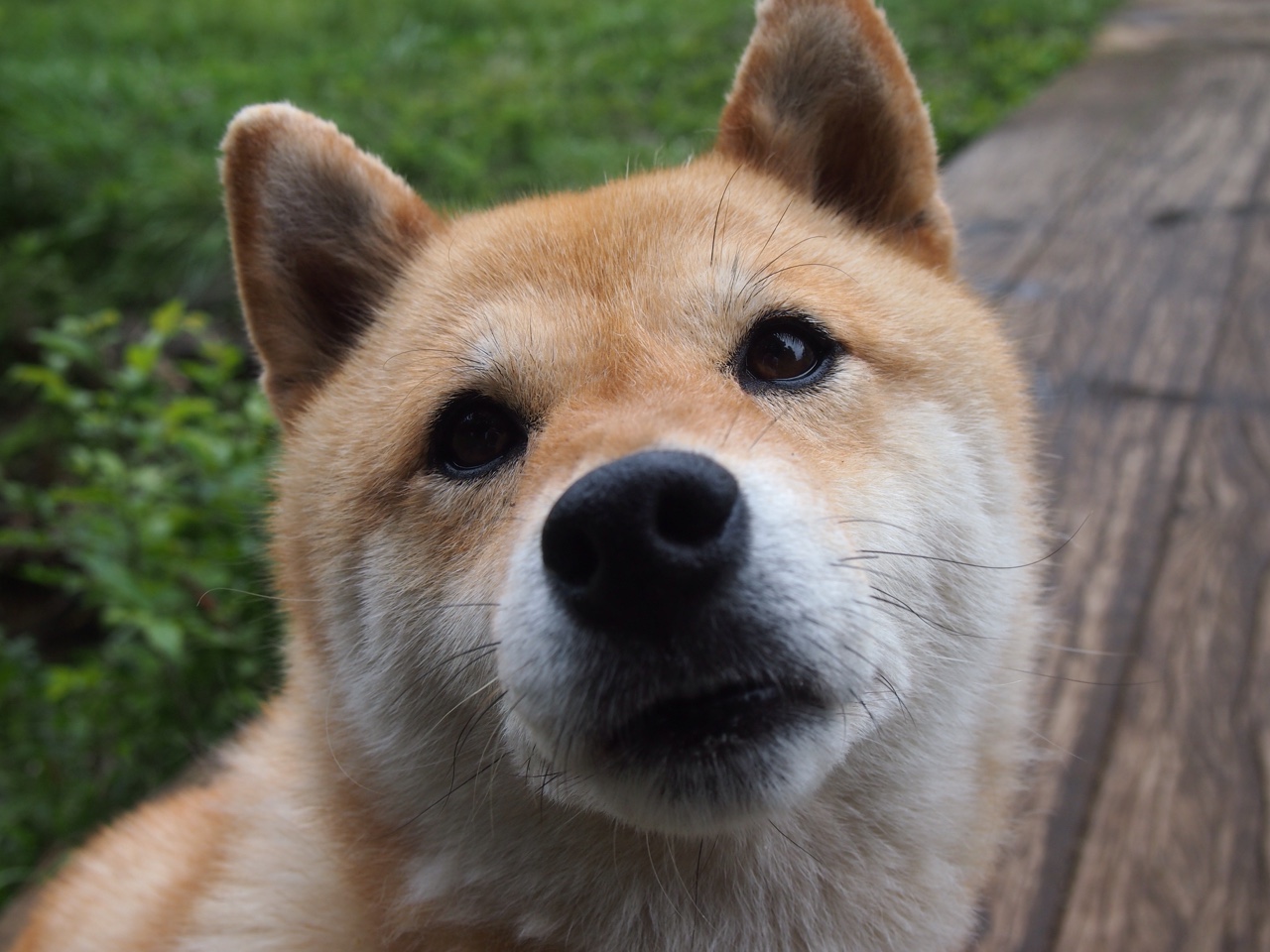 乌拉圭女篮在南美锦标赛中持续强势,逐步迈向世界冠军,乌拉圭南美区预选赛